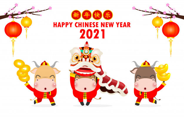 Chinese spring festival